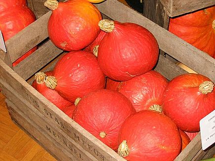 Courge Potimarron Orange (La Pièce)Vendée -1,5kg